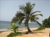 Playa Wilderness           - AGUADILLA
